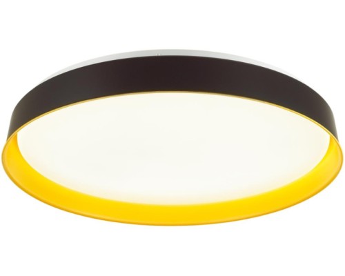 Настенно-потолочный светильник Tuna Yellow 7711/DL Sonex