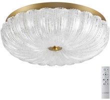 Потолочный светильник Tesoro 7719/48L Sonex