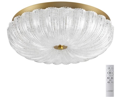 Потолочный светильник Tesoro 7719/48L Sonex