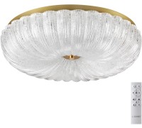 Потолочный светильник Tesoro 7719/60L Sonex
