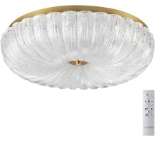 Потолочный светильник Tesoro 7719/60L Sonex