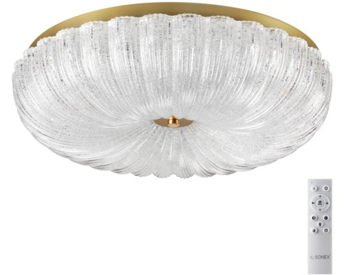 Потолочный светильник Tesoro 7719/60L Sonex