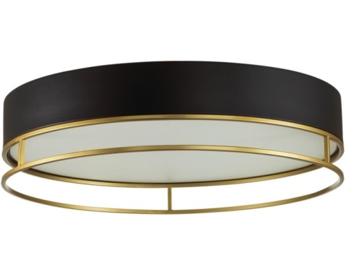 Потолочный светильник Lofty 7723/100L Sonex