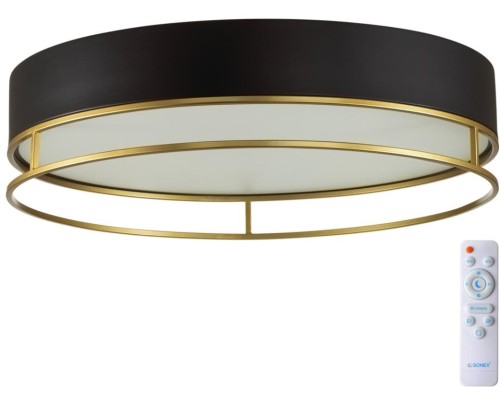 Потолочный светильник Lofty 7723/65L Sonex