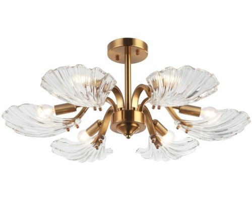 Потолочная люстра Muschel 2153/05/06P Stilfort