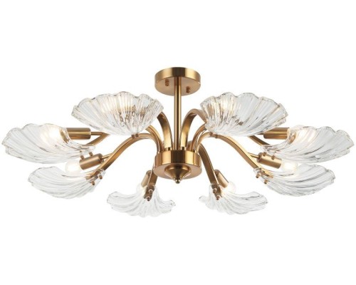 Потолочная люстра Muschel 2153/05/08P Stilfort