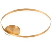 Потолочный светильник Planetary 4005/05/01C Stilfort