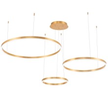 Подвесной светильник Planetary 4005/05/03P+CB Stilfort