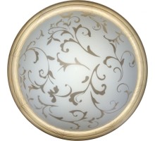 Настенно-потолочный светильник Phebe TL1126-1Y TopLight