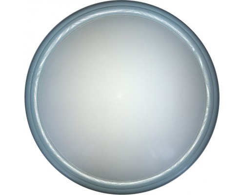 Настенно-потолочный светильник Portia TL1128-1Y TopLight