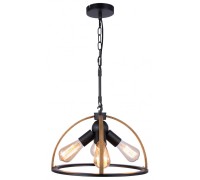 Подвесной светильник Jasmin TL1179H-04BK TopLight