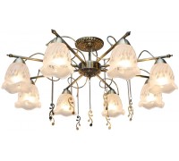 Потолочная люстра Delia TL1195X-08AB TopLight