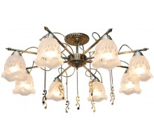 Потолочная люстра Delia TL1195X-08AB TopLight