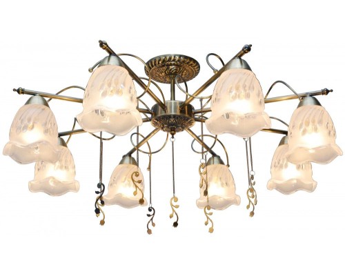 Потолочная люстра Delia TL1195X-08AB TopLight