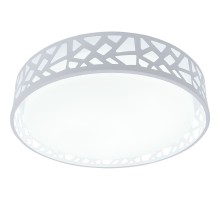Потолочный светильник Leone TL1205X-72WH TopLight