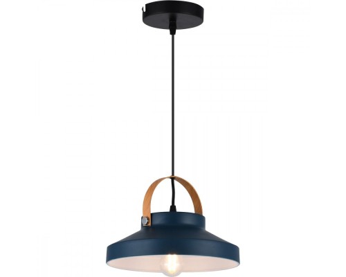 Подвесной светильник Wendi TL1225H-01GR TopLight