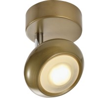 Спот Carissa TL1244Y-01SG TopLight