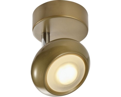 Спот Carissa TL1244Y-01SG TopLight