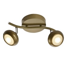 Спот Carissa TL1244Y-02SG TopLight