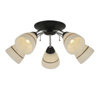 Потолочная люстра Winnifred TL1255D-05BC TopLight