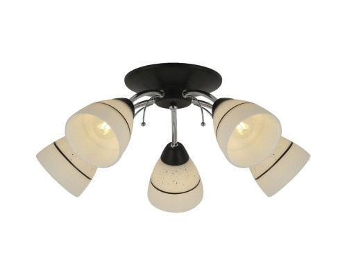 Потолочная люстра Winnifred TL1255D-05BC TopLight