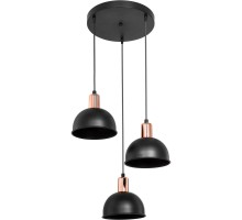 Подвесной светильник Darleen TL1638R-03BK TopLight