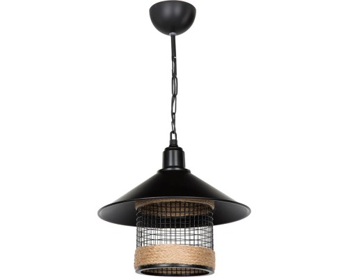Подвесной светильник Bryana TL1644H-01BK TopLight