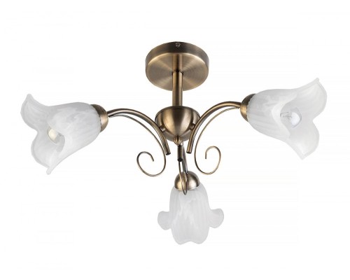 Потолочная люстра Magdalene TL3490X-03AB TopLight