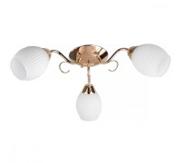 Потолочная люстра Kristin TL3520X-03FG TopLight