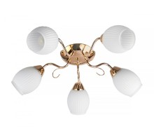 Потолочная люстра Kristin TL3520X-05FG TopLight