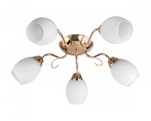 Потолочная люстра Kristin TL3520X-05FG TopLight