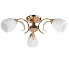 Потолочная люстра Lenore TL3530X-03FG TopLight