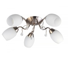 Потолочная люстра Paula TL3550X-05SN TopLight