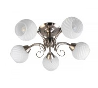 Потолочная люстра Dana TL3560X-05SN TopLight