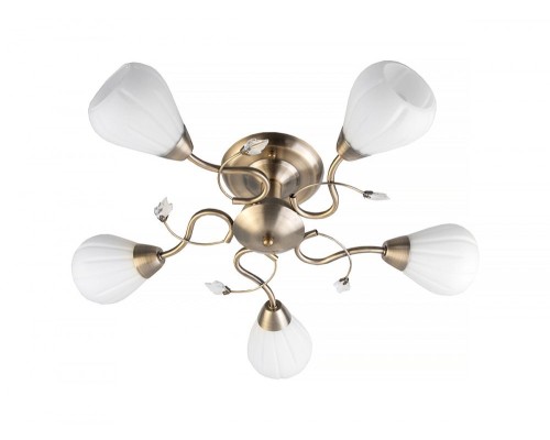 Потолочная люстра Lorin TL3570X-05AB TopLight