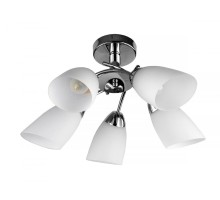 Потолочная люстра Carmel TL3600X-05CH TopLight