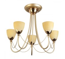 Потолочная люстра Lucia TL3630X-05MG TopLight