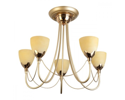 Потолочная люстра Lucia TL3630X-05MG TopLight