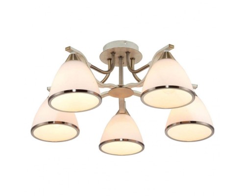 Потолочная люстра Sheena TL3670X-05AB TopLight