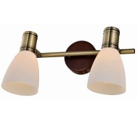 Спот Sharyl TL3720Y-02BB TopLight