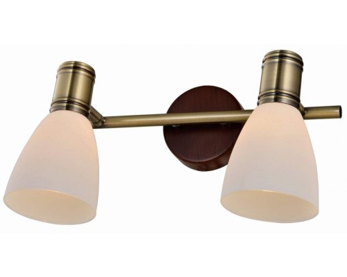 Спот Sharyl TL3720Y-02BB TopLight