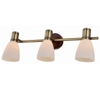 Спот Sharyl TL3720Y-03BB TopLight