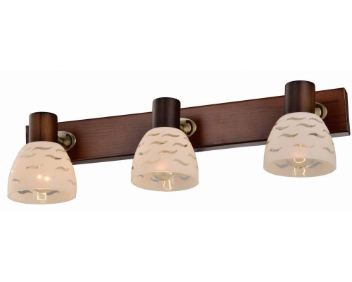 Спот Shayla TL3730Y-03BB TopLight