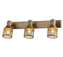 Спот Silvia TL3750Y-03AB TopLight