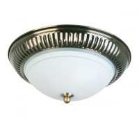 Потолочный светильник Dora TL5040Y-02AB TopLight