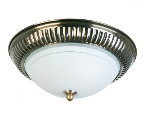 Потолочный светильник Dora TL5040Y-02AB TopLight