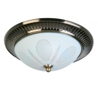 Потолочный светильник Fae TL5060Y-02AB TopLight