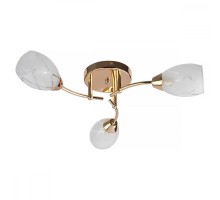 Потолочная люстра Lucy TL7120X-03FG TopLight