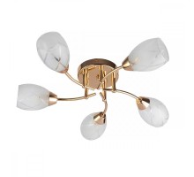 Потолочная люстра Lucy TL7120X-05FG TopLight