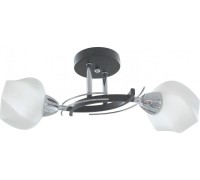 Потолочная люстра Lia TL7380X-02BC TopLight